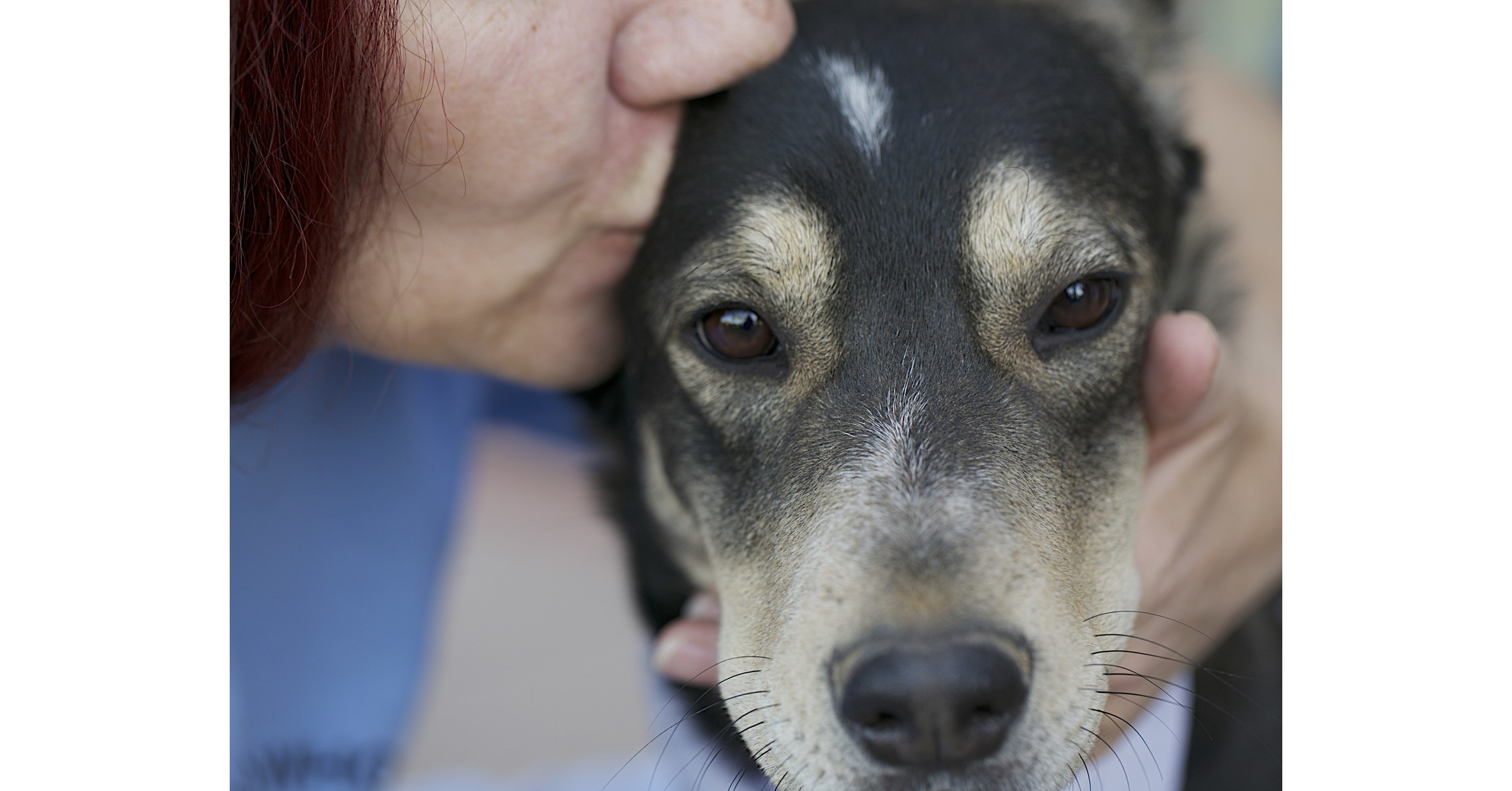 PetSmart Charities® of Canada Grants More than 350,000 to Help Combat