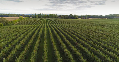 Bardsley’s UK orchard from the air (PRNewsfoto/Camellia Plc)