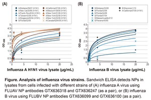 GeneTex Develops Recombinant Influenza Nucleoprotein Antibodies as Potential Diagnostics