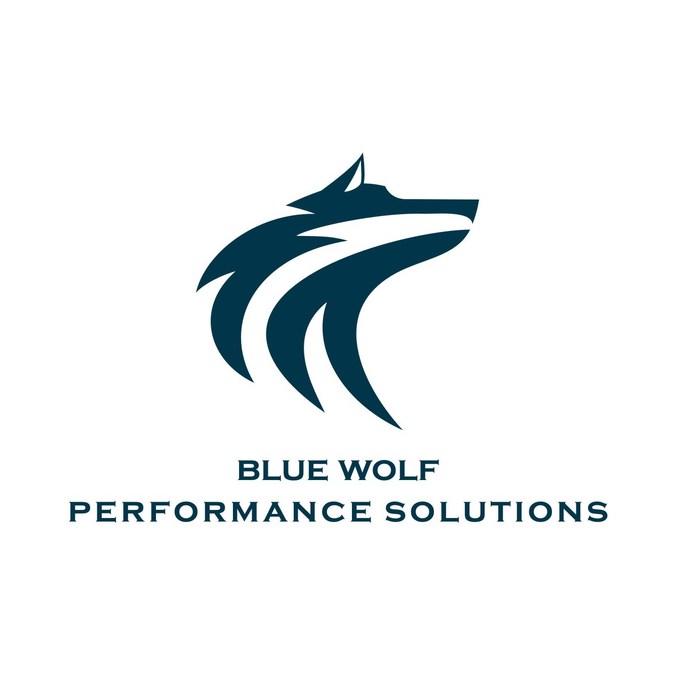 Blue Wolf Performance Solutions Acquires Reliable Industrial Group - Vimarsana News