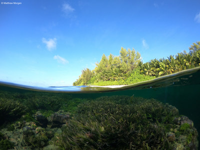 Photo credit: Matthew Morgan Island Conservation Society