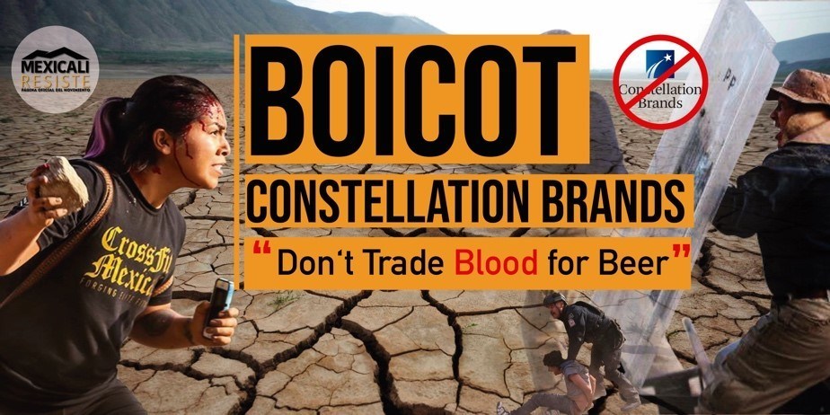 Mexicali Resiste Activist VS. Constellation Brands: Activists demand WATER RIGHTS and FREEDOM - Vimarsana News
