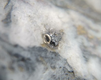 Photo 1: DH151 interval with coarse native “wire” silver with argentiferous galena within intercept of 0.4 metres of 4,320 grams equivalent silver per tonne. (CNW Group/Outcrop Silver & Gold Corporation)