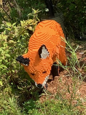 Stop by the Ontario Science Centre to see Sean Kenney's Nature Connects ? art and science collide with intricate sculptures made of LEGO bricks, all inspired by nature. The fox took 210 hours to build. (CNW Group/Ontario Science Centre)