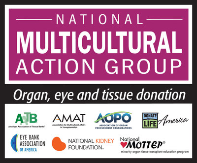 National Multicultural Action Group partners include the American Association of Tissue Banks (AATB), Association for Multicultural Affairs in Transplantation (AMAT), Association of Organ Procurement Organizations (AOPO), Donate Life America (DLA), Eye Bank Association of America (EBAA), Health Resources and Services Administration (HRSA), National Minority Organ Tissue Transplant Education Program (MOTTEP) and National Kidney Foundation (NKF).