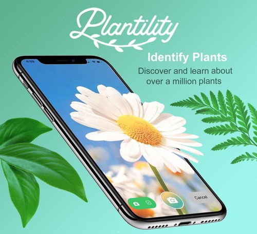 Plantility Plant Identifier. Identify flowers, leaves, trees, and more.