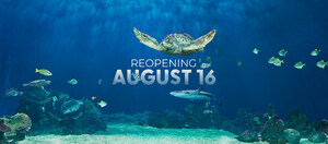 Vancouver Aquarium Officially Reopens on August 16