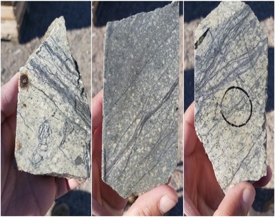 Figure 3. Examples of early porphyry style veining observed in historical drill core from Poncha South (CNW Group/Sable Resources Ltd.)