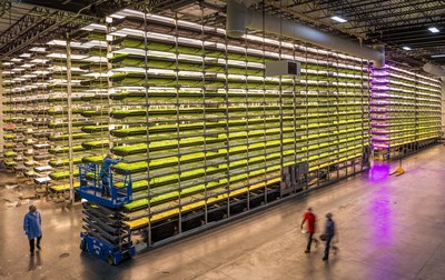 Cargill and AeroFarms will experiment with different indoor growing technologies including aeroponics and hydroponics, light, carbon dioxide, irrigation, nutrition, plant space and pruning to identify the optimal conditions for cocoa tree growth. 