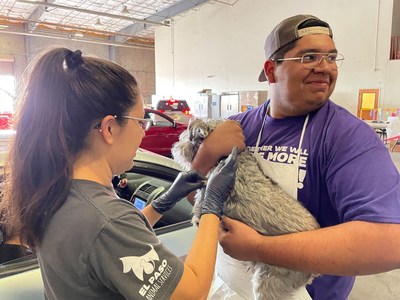Last June, Petco Love partner El Paso Animal Services hosted a vaccine clinic that served close to 700 pets. Petco Love's new national vaccination initiative will provide 1 million free pet vaccines to its existing animal welfare partners for family pets in need.