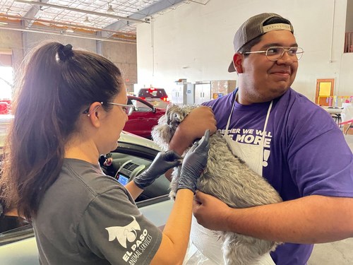 El Paso Animal Services hosted a vaccine clinic