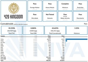 420Kingdom Announces First-Ever Grapes and Cream Strain With 43% Total Cannabinoids