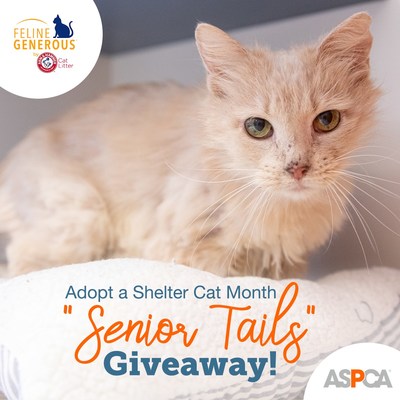 The ARM & HAMMER™ Feline Generous Program and the ASPCA® teamed up to host the “Senior Tails” giveaway during Adopt a Shelter Cat Month and received more than 2,500 submissions celebrating senior cats and all the reasons why they are purrfect catpanions and 100% lovable! Three of the most heartwarming 'senior tails' were selected as winners and their shelters will each receive $2,500.