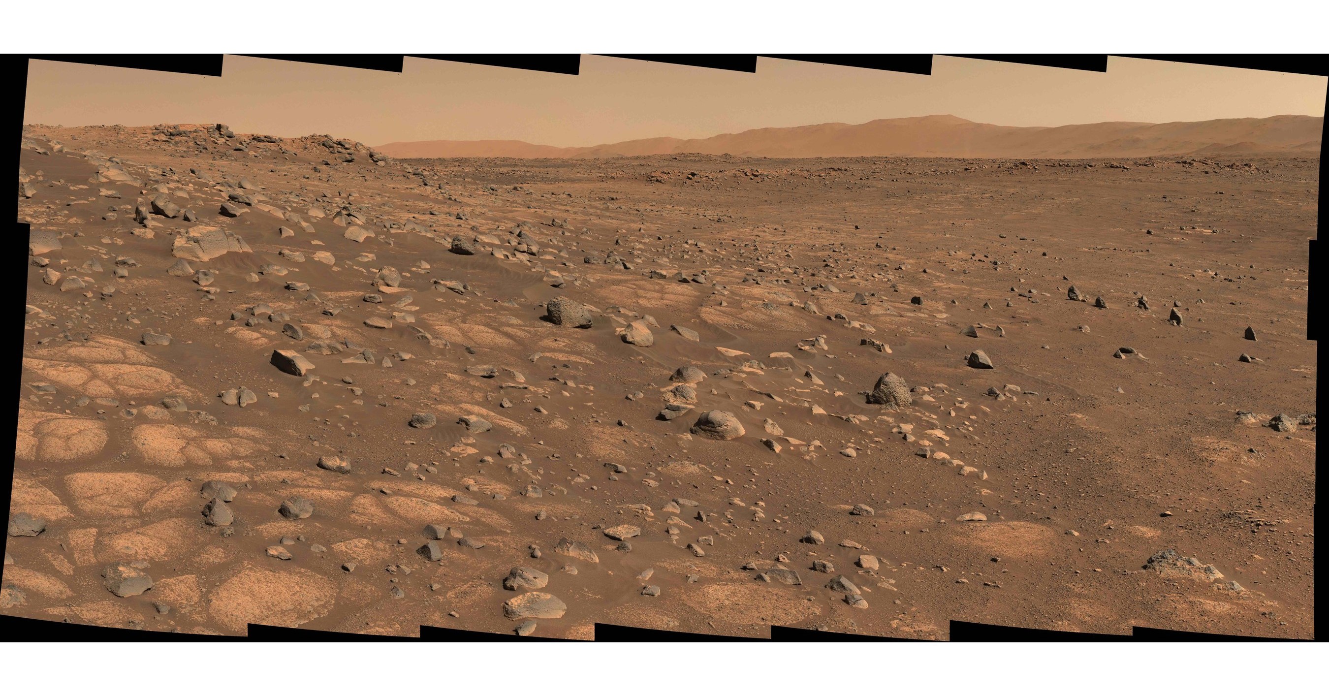 Biggest Piece Of Mars On Earth Sold And Youll Never Guess The Price - z9mp0ly