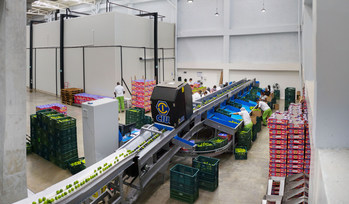 Valle Verde’s state-of-the-art lime packing and cold storage facility