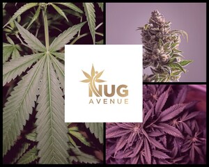 Nug Avenue to Open Second Location in Los Angeles
