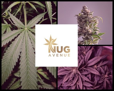 Marijuana delivery service Nug Avenue, located in Los Angeles, specializes in hand-selected flowers. It offers the convenience of online ordering as well as same-day delivery to Arcadia, Duarte, Sierra Madre, Monrovia, Azusa, Glendora, Covina, Irwindale, Bradbury, Baldwin Park, and West Covina.