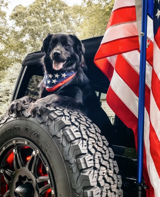 For the third consecutive year, Autotrader is honoring the 2021 Jeep® Wrangler and the 2021 Chrysler Pacifica on its list of 10 Best Cars for Dog Lovers. From Wrangler's open-air freedom to Pacifica's spacious interior, adventures will be comfortable and convenient for all family members, especially the furry ones. Bear (@motomargot), pictured here with the Jeep Wrangler, was named #JeepTopCanine on National Dog Day 2020.