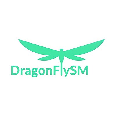DragonFlySM: Simplifying Workflow for Every Professional