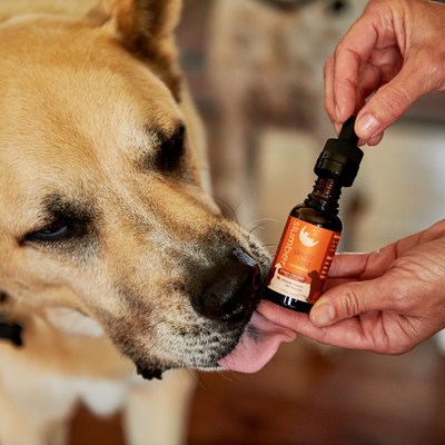CBN and CBD Oil for Dogs and Cats