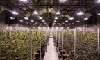 Halo Collective Executes Definitive Agreements to Acquire Pistil Point Indoor Facility and Related Licenses in Oregon