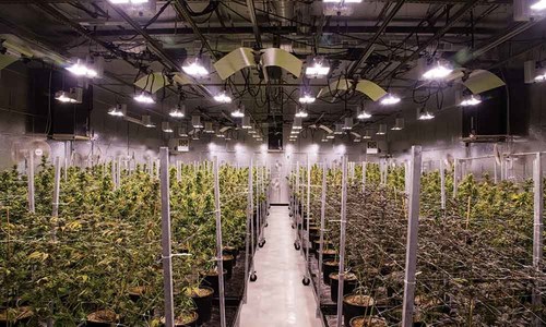 Halo Collective Executes Definitive Agreements to Acquire Pistil Point Indoor Facility and Related Licenses in Oregon (CNW Group/Halo Collective Inc.)