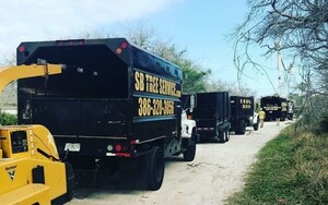 As Hurricane Ida Lashes the Louisiana Coast, Tree Service Experts Bring Relief Work