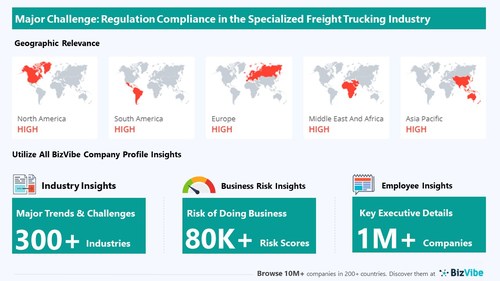 Snapshot of key challenge impacting BizVibe's specialized freight trucking industry group.