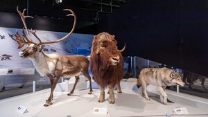 Planet Ice: Mysteries of the Ice Ages makes world-touring premiere at Ontario Science Centre