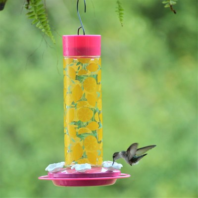 Nature's Way Hummingbird Lemonade Stand Feeder