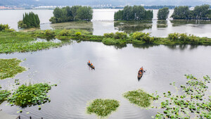 Xinhua Silk Road: Wetlands conservation efforts help SW. China's Kunming improve ecology