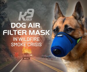 Protecting Dogs from Wildfire Smoke with Air Filter Mask Innovation