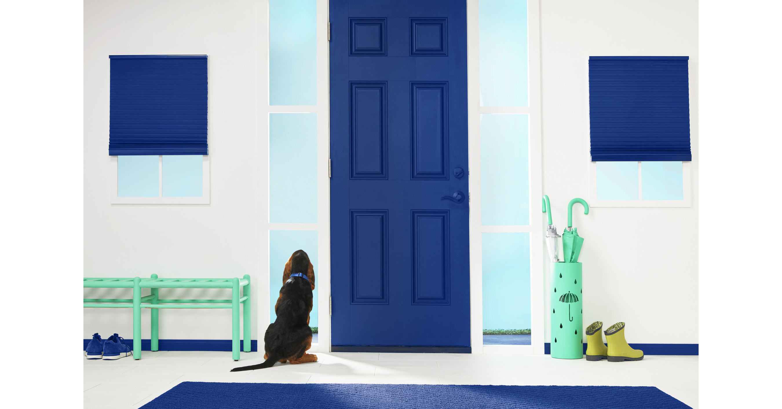 Petco Encourages Pet Parents to Consider Their Pets' Mental Health