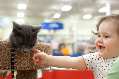 An adoptable cat in PetSmart's Adoption Centre meets a potential family (CNW Group/PetSmart Charities of Canada)