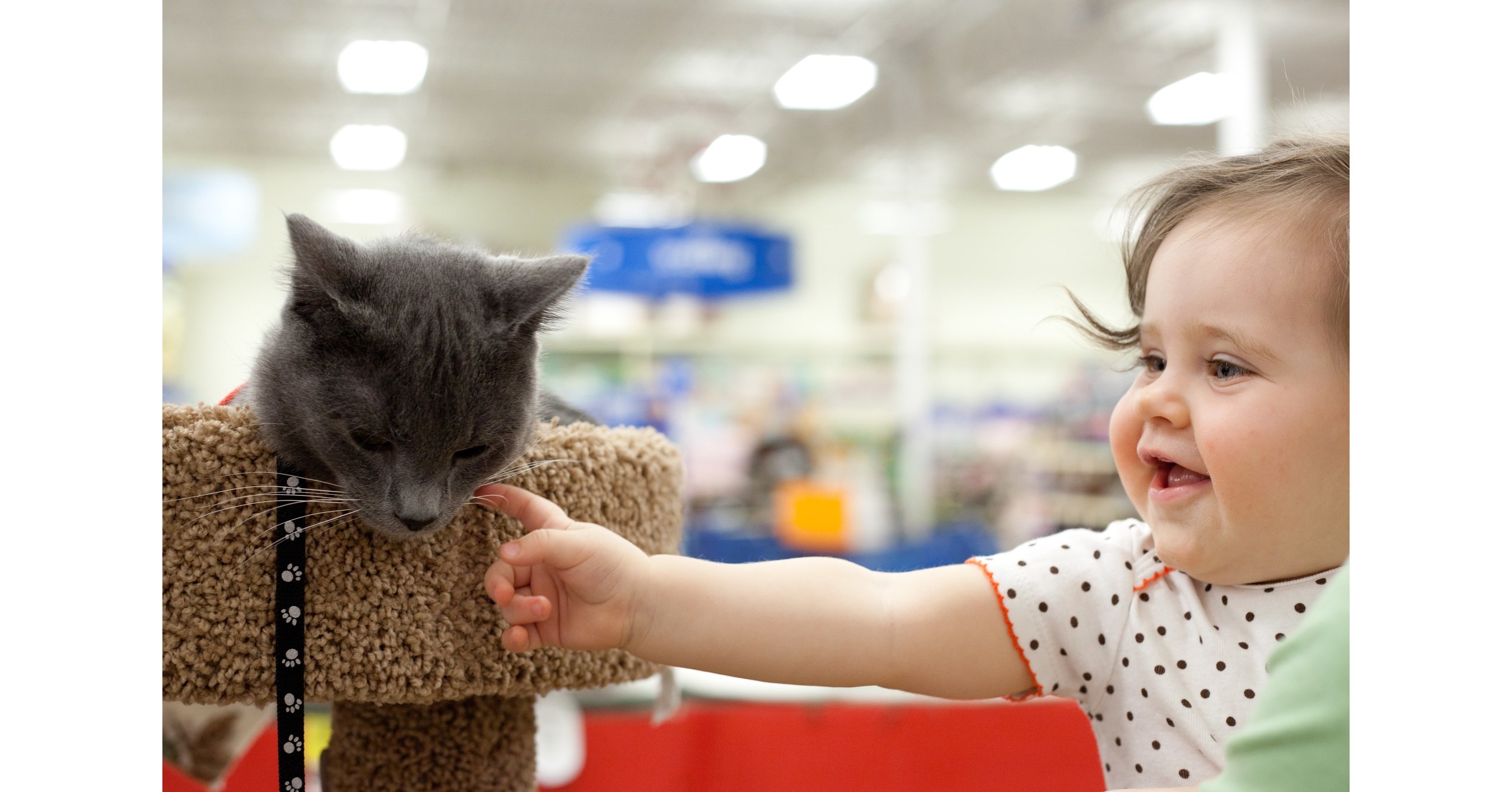 PetSmart Charities® of Canada to Host National Adoption Week