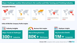 BizVibe Highlights Key Challenges Facing the Leather and Hide Tanning and Finishing Industry | Monitor Business Risk and View Company Insights