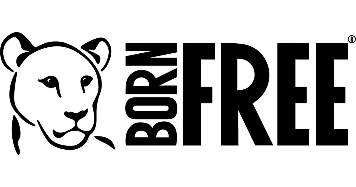 Born Free USA Launches "Big Five and Little Five" Campaign to Promote