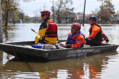Hurricane Ida Search and Rescue Efforts