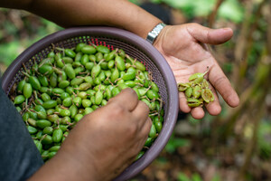 Heifer International and McCormick &amp; Company Announce Partnership to Support Sustainable Incomes for Spice Farmers In Guatemala