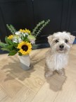 BOKAY Makes Completely Personalized Flower Arrangements Accessible and Fun