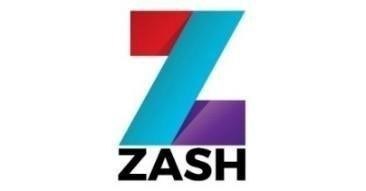 ZASH Global Logo