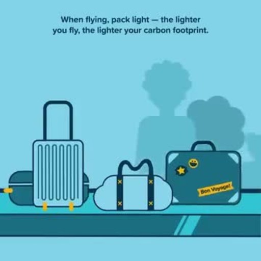 Cool Effect has seen an increase in demand for travel offsets, especially for flying, as consumers have started to recognize the environmental impact of their trips and have sought to take action.