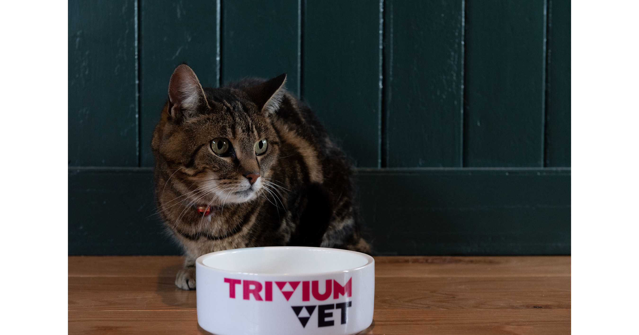 FDA’s Centre for Veterinary Medicine deems TriviumVet’s feline HCM program eligible for expanded conditional approval pathway