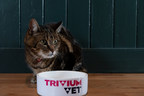FDA兽医医学中心认为TriviumVet的猫HCM项目有资格扩大有条件批准途径
