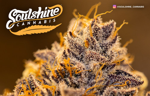 Patrick Wlaznak, President of Soulshine Development Group, Inc (dba Soulshine Cannabis), is excited to announce a new partnership to launch its product line into the California market.