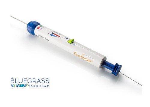 Surfacer® Inside-Out® Access Catheter System (Surfacer System)