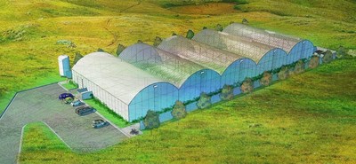 Invest in a Massachusetts Cannabis Cultivation Facility