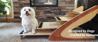 The Best Dog Steps... are the ones designed for dogs