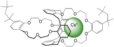 BOBCalixC6 Sequestering a Cesium Ion - Source: Izatt, R.M., et al. Chem. Soc. Rev., 2014, 43, 2451-2475 