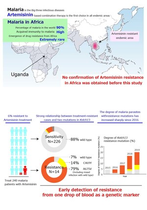 Juntendo University research: Emergence of malaria-drug resistance in Africa